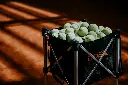 angelina-yan-7EqamP0pnxY-unsplash.webp
